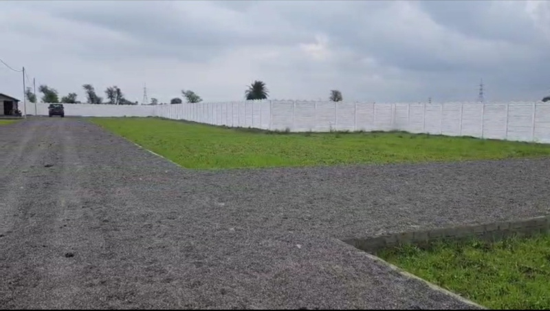  Residential Plot 2000 Sq.ft. for Sale in Jawa, Rewa