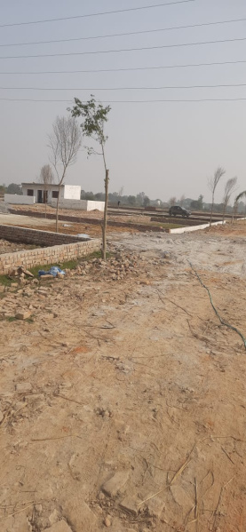  Residential Plot 1000 Sq.ft. for Sale in Sultanpur Road, Lucknow