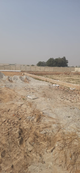  Residential Plot 1000 Sq.ft. for Sale in Sultanpur Road, Lucknow