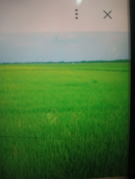 2 BHK Farm House for Sale in Gudur, Nellore