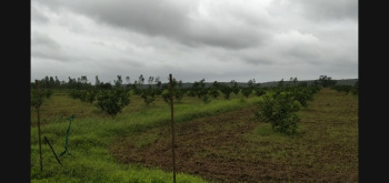  Agricultural Land for Sale in Malvan, Sindhudurg