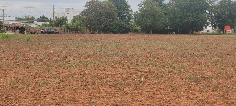  Commercial Land 1 Acre for Rent in Kannampalayam, Coimbatore