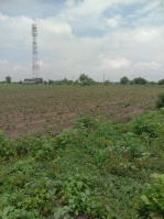  Agricultural Land for Sale in Mouda, Nagpur