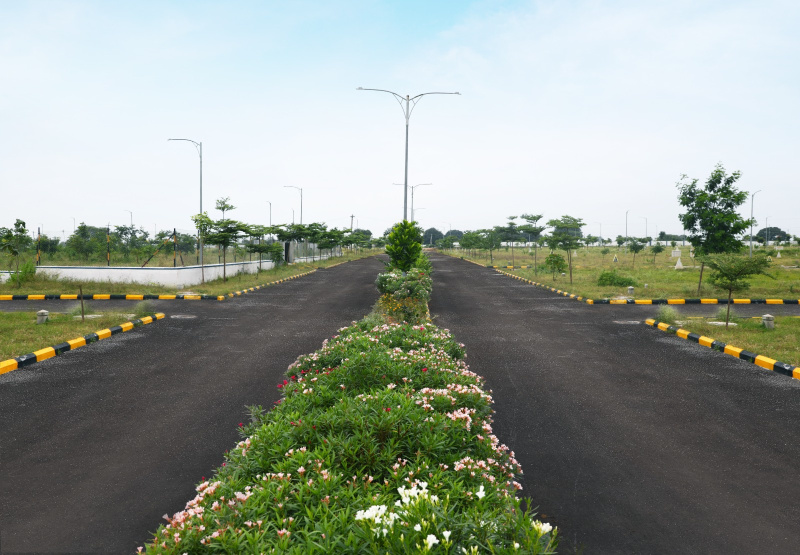  146 Sq.ft. Residential Plot for Sale in Shadnagar, Hyderabad