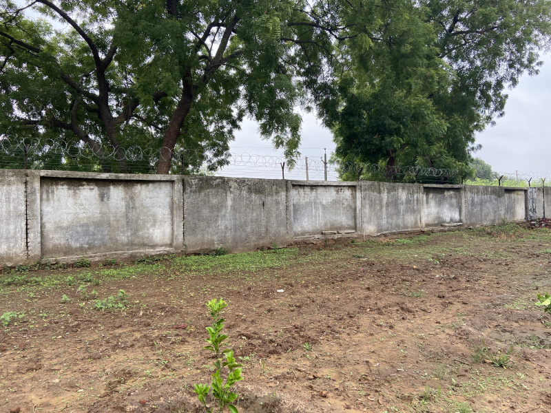  Agricultural Land 24000 Sq.ft. for Sale in Sindhrot, Vadodara