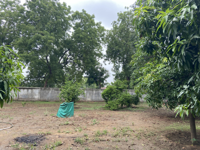  Agricultural Land 24000 Sq.ft. for Sale in Sindhrot, Vadodara