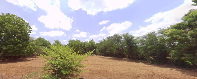  Agricultural Land 67522 Sq.ft. for Sale in Sindhrot, Vadodara