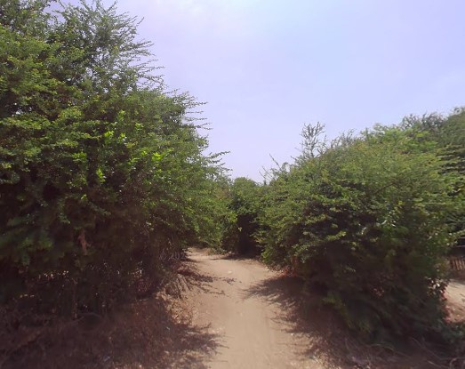  50000 Sq.ft. Agricultural/Farm Land for Sale in Sindhrot, Vadodara
