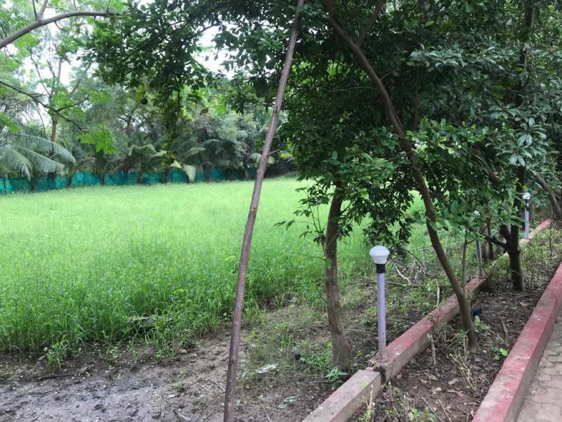  Agricultural Land 27000 Sq.ft. for Sale in Padra, Vadodara