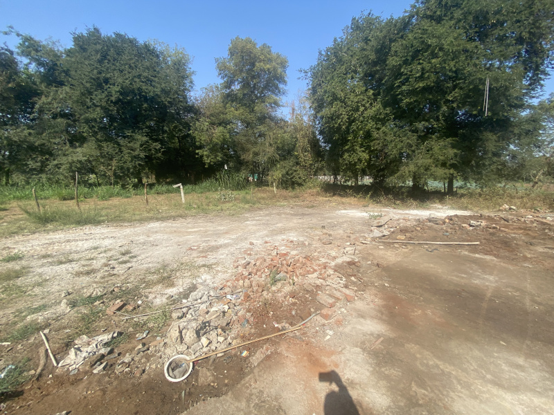  Industrial Land 14680 Sq.ft. for Sale in Padra, Vadodara