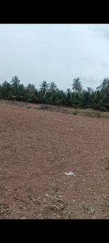  Agricultural Land for Sale in Sulur, Coimbatore