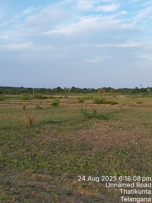  Agricultural Land 10 Sq.ft. for Sale in Kodandapur, Gadwal