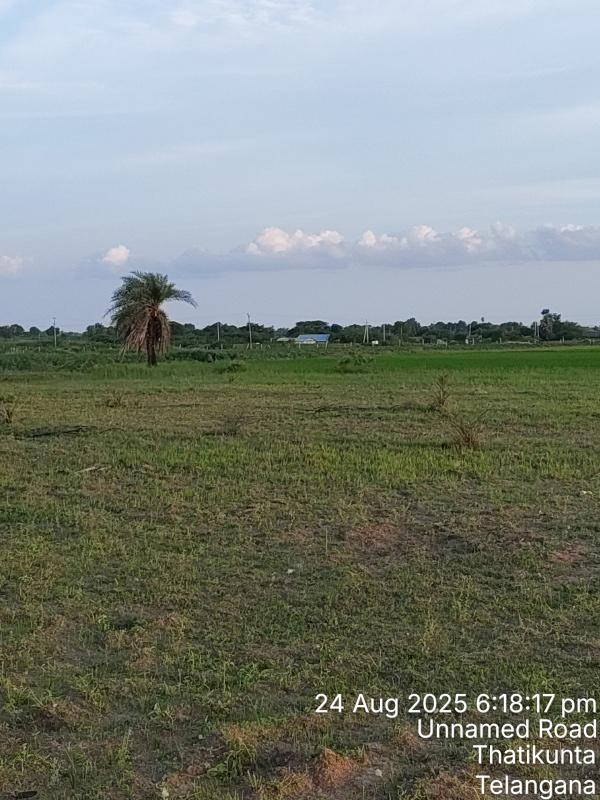  Agricultural Land 10 Sq.ft. for Sale in Kodandapur, Gadwal