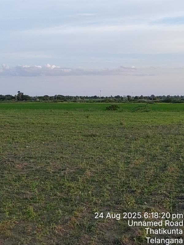  Agricultural Land 10 Sq.ft. for Sale in Kodandapur, Gadwal