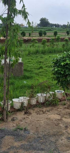  Residential Plot 100 Sq. Yards for Sale in Jattari, Aligarh