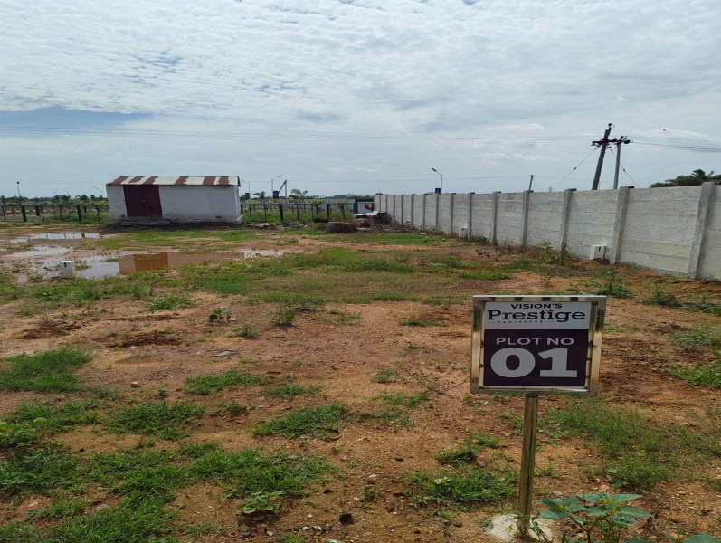 Panjapur, Tiruchirappalli photo 5