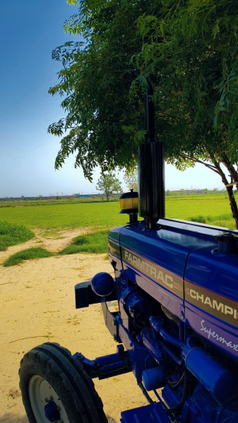  Agricultural Land 17 Acre for Sale in Bawani Khera, Bhiwani