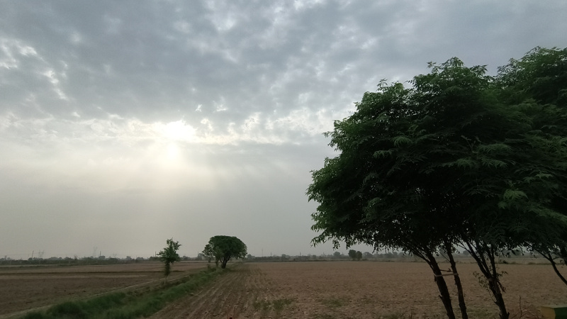  Agricultural Land 17 Acre for Sale in Bawani Khera, Bhiwani