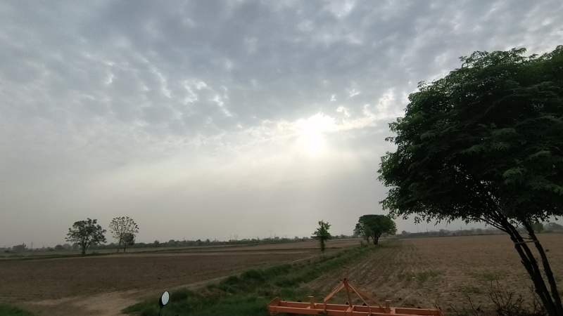  Agricultural Land 17 Acre for Sale in Bawani Khera, Bhiwani