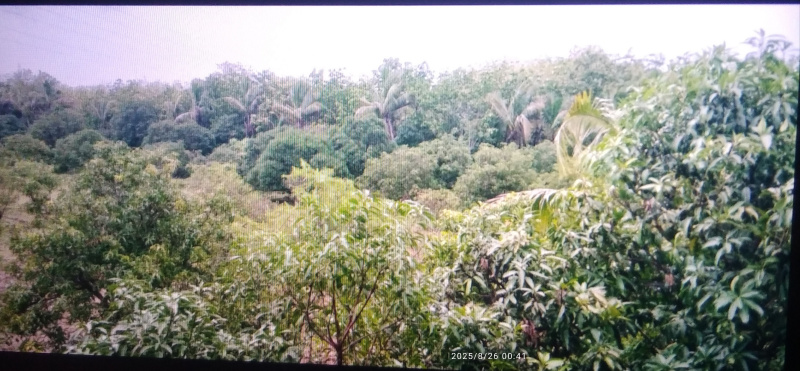  Industrial Land 50 Acre for Sale in Tukwada, Vapi