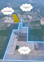  Agricultural Land for Sale in Bhawanigarh, Sangrur