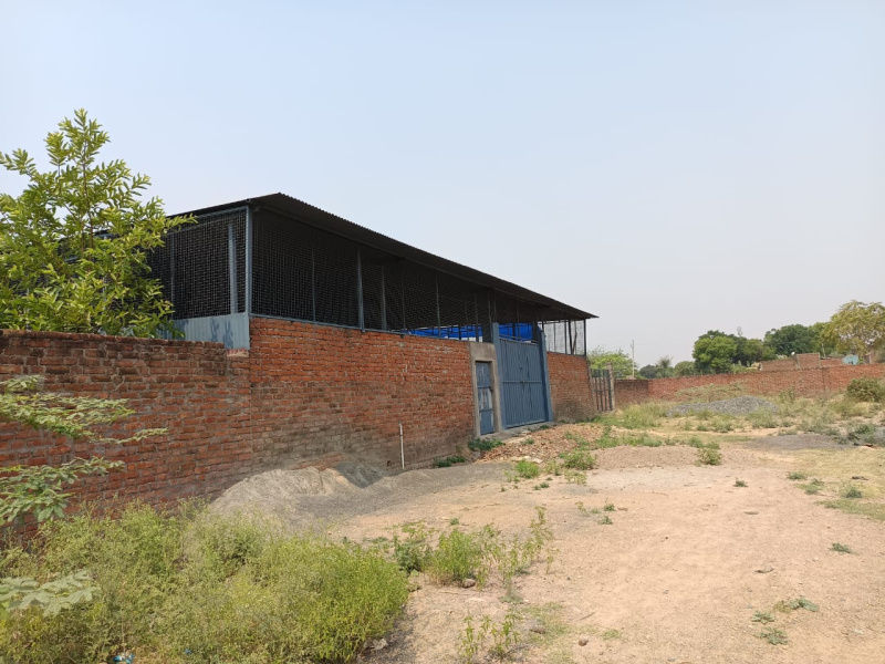  Warehouse 3000 Sq.ft. for Rent in Lakhna, Etawah