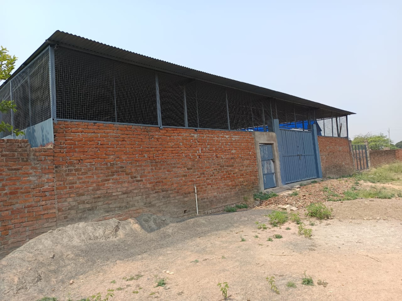  Warehouse 3000 Sq.ft. for Rent in Lakhna, Etawah