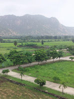  Residential Plot for Sale in Abu Road, Sirohi