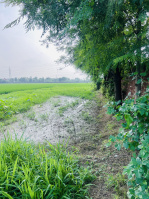  Agricultural Land for Sale in Mehatpur, Jalandhar