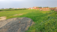  Residential Plot for Sale in Mirganj, Gopalganj