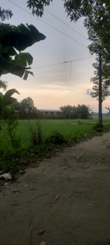  Residential Plot for Sale in Bilasipara, Dhubri