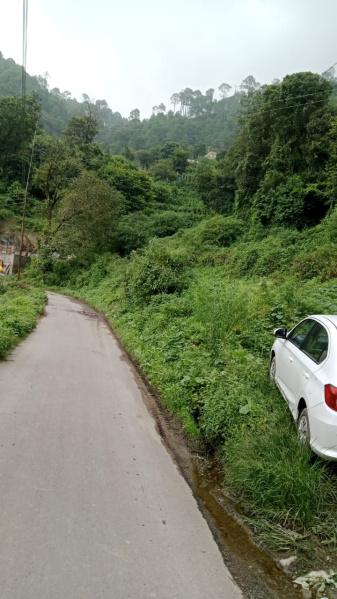  Residential Plot 3 Bigha for Sale in Barog, Solan
