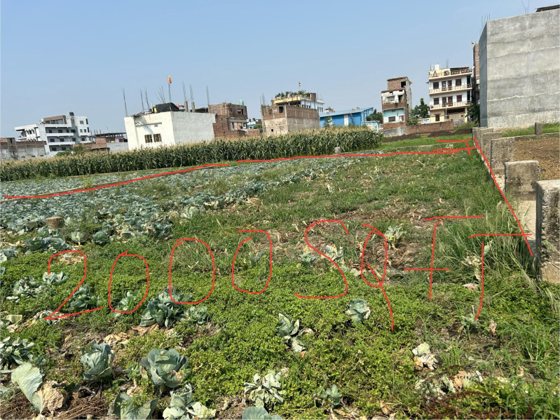 Residential Plot 2000 Sq.ft. for Sale in Bairiya, Patna