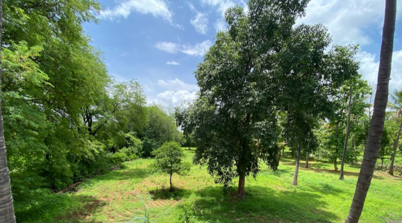  Agricultural Land 6534 Sq.ft. for Sale in 8th Block, Koramangala, Bangalore