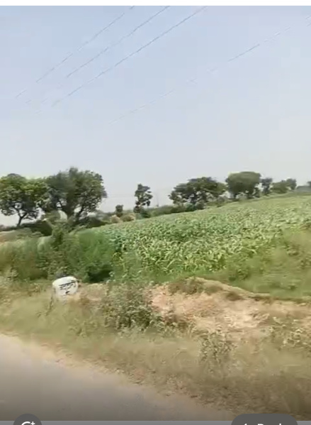 10 BHK Farm House 2 Bigha for Sale in Jattari, Aligarh