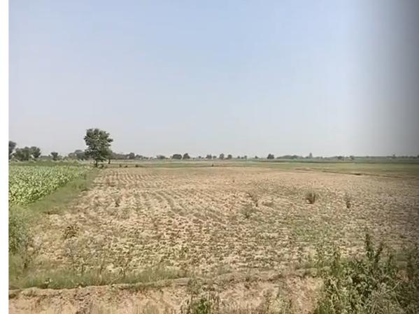 10 BHK Farm House 2 Bigha for Sale in Jattari, Aligarh