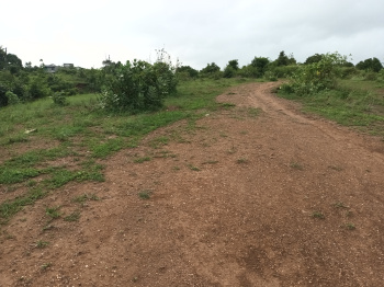  Agricultural Land for Sale in Unn, Navsari