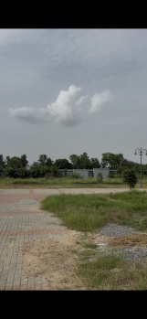  Residential Plot for Sale in Sector 43 Gurgaon