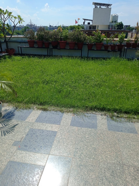 4 BHK Apartment 4500 Sq.ft. for Sale in New Friends Colony, Delhi