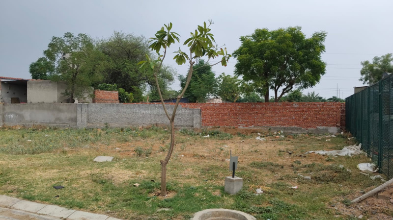  Residential Plot 565 Sq. Yards for Sale in Sector 89 Gurgaon