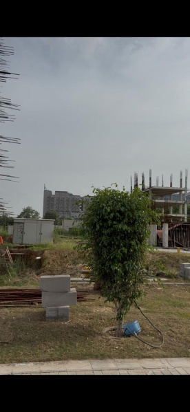 105 Sq. Yards Commercial Land for Sale in Sector 83 Gurgaon