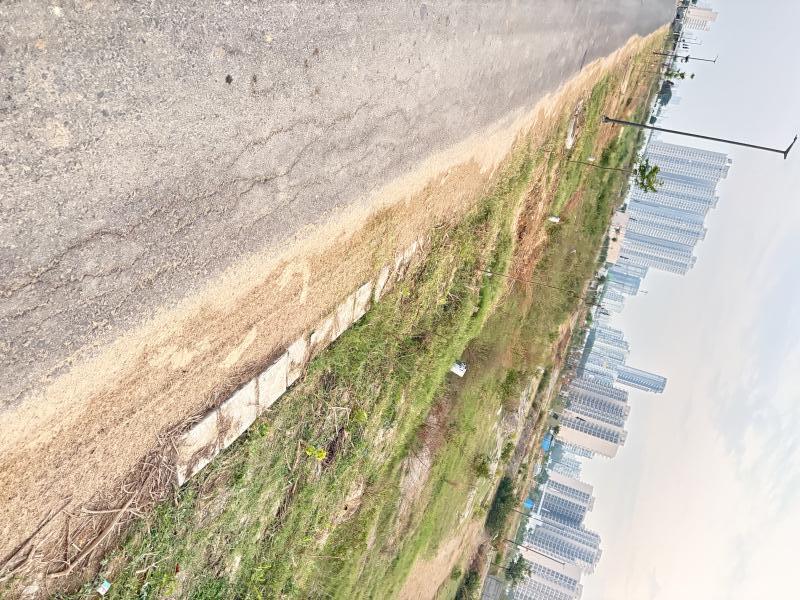 4.5 BHK 3257 Sq.ft. Apartment for Sale in Sector 59 Gurgaon