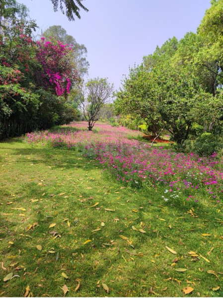 300 Sq. Yards Residential Plot for Sale in Sushant Lok Phase I, Gurgaon