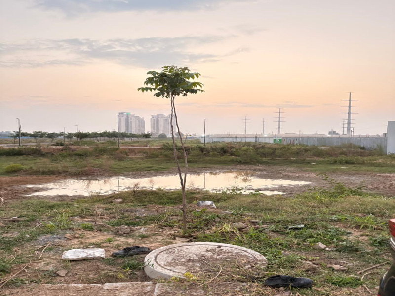  353 Sq. Yards Residential Plot for Sale in Sector 88B, Gurgaon