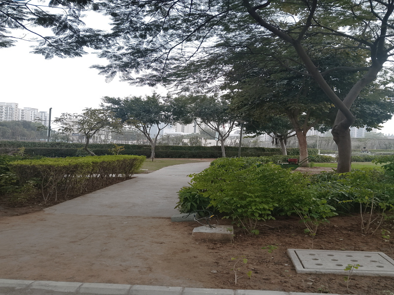  240 Sq. Yards Residential Plot for Sale in Sector 88B, Gurgaon