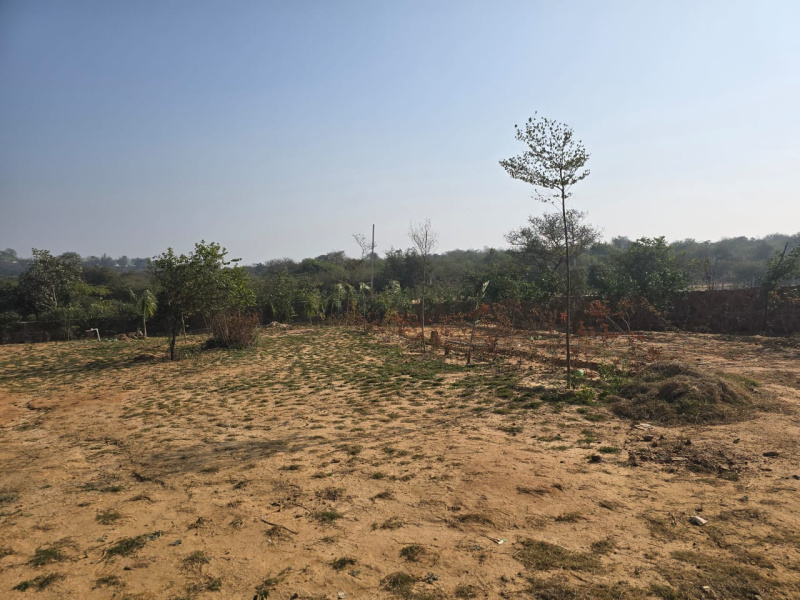  2 Acre Residential Plot for Sale in Aklimpur, Gurgaon