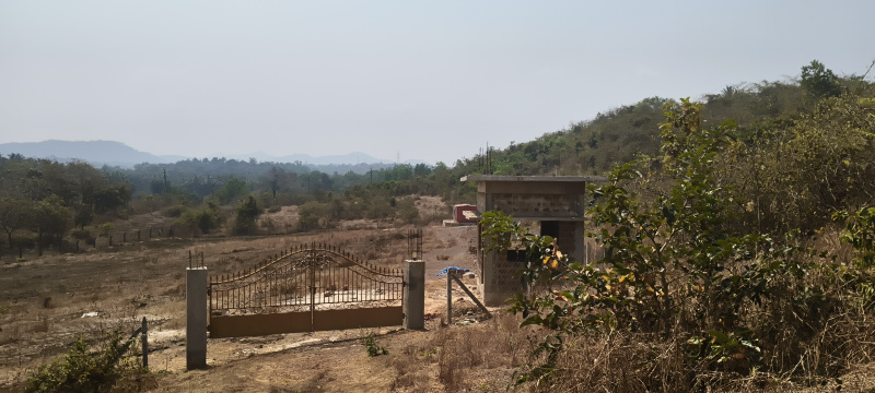  5294 Sq.ft. Agricultural/Farm Land for Sale in Quepem, South Goa, 