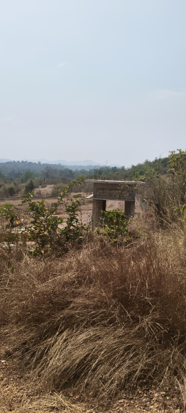  5294 Sq.ft. Agricultural/Farm Land for Sale in Quepem, South Goa, 