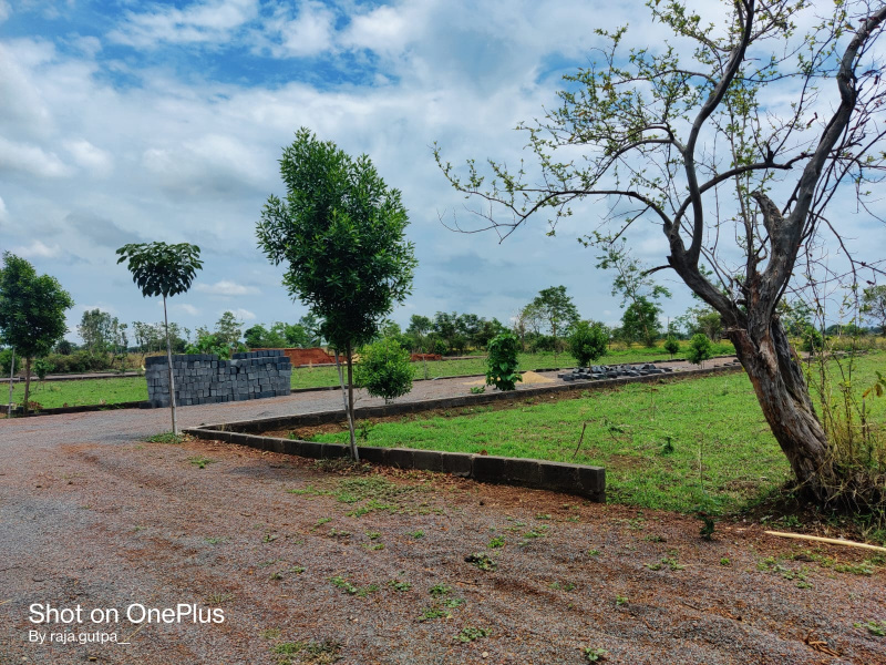  Residential Plot 1000 Sq.ft. for Sale in Shiva Nagar, Naya Raipur, 