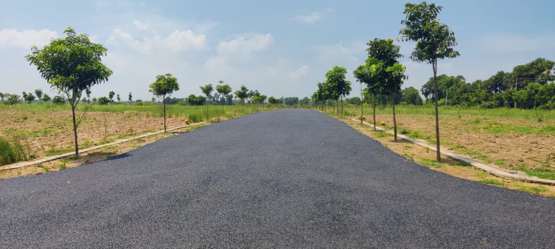  Residential Plot 200 Sq. Yards for Sale in Gunupur Peta, Vizianagaram
